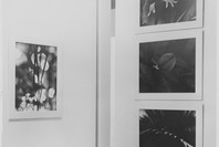 Five Unrelated Photographers. May 28–Jul 21, 1963.