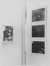 Installation photo, 34 of 34
