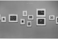 The Photographer and the American Landscape. Sep 24–Dec 1, 1963. 3 other works identified
