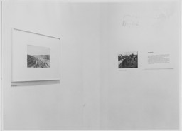 Installation photo, 10 of 39