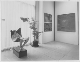 Installation photo, 14 of 15