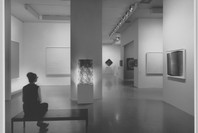 The Responsive Eye. Feb 23–Apr 25, 1965.