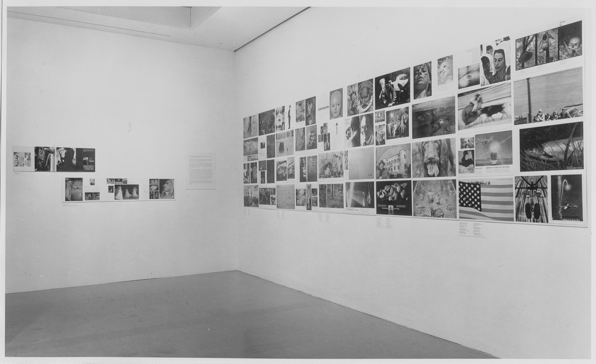 art gallery essay