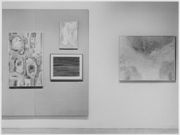 Installation photo, 4 of 8