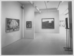 Installation photo, 6 of 15