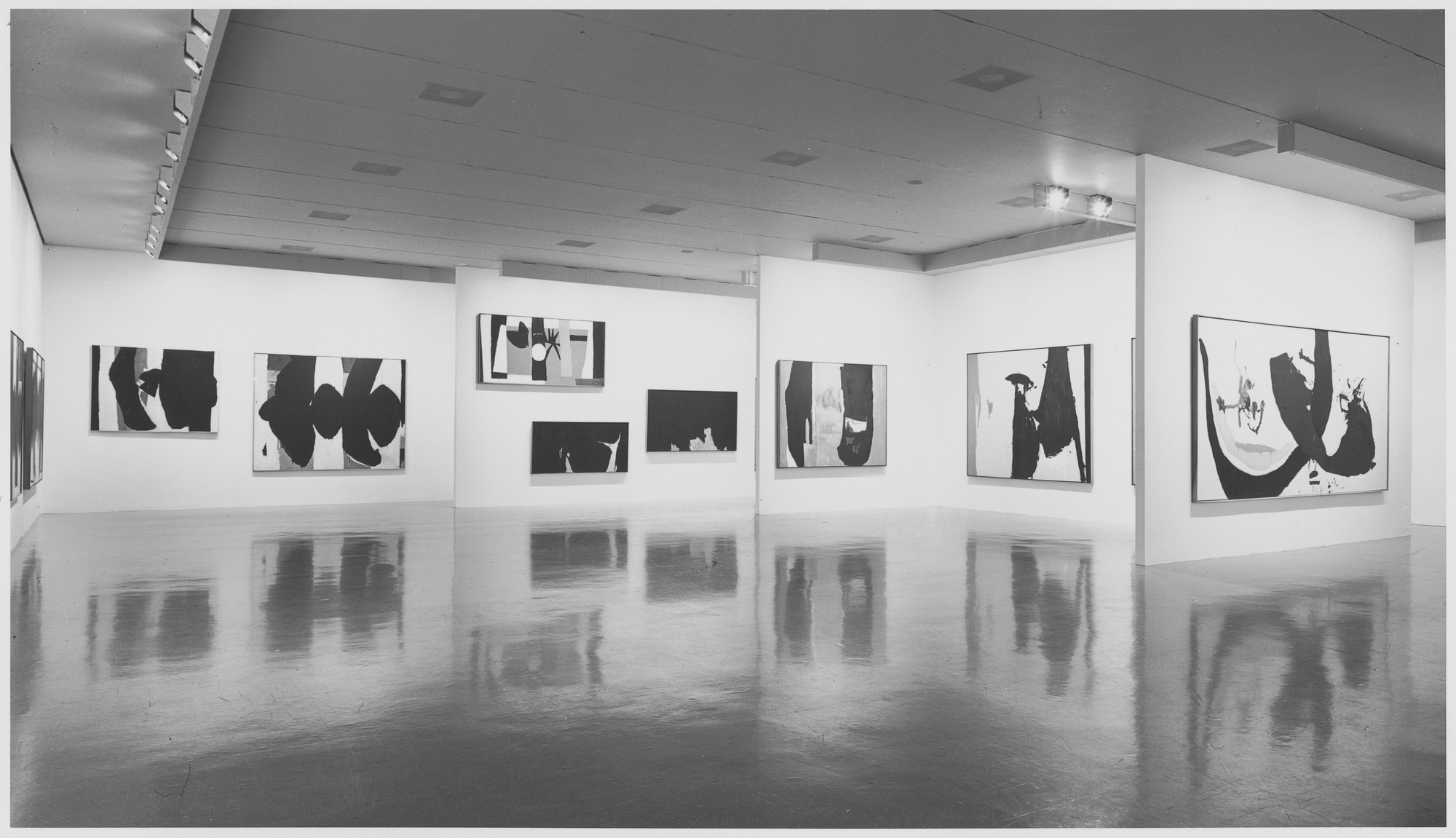 Installation view of the exhibition "Robert Motherwell" MoMA