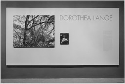 Installation photo, 1 of 37