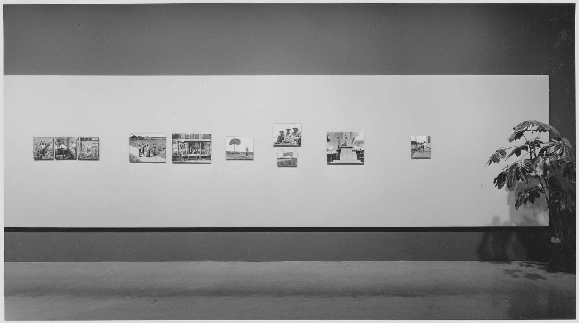 Installation view of the exhibition "Dorothea Lange." MoMA