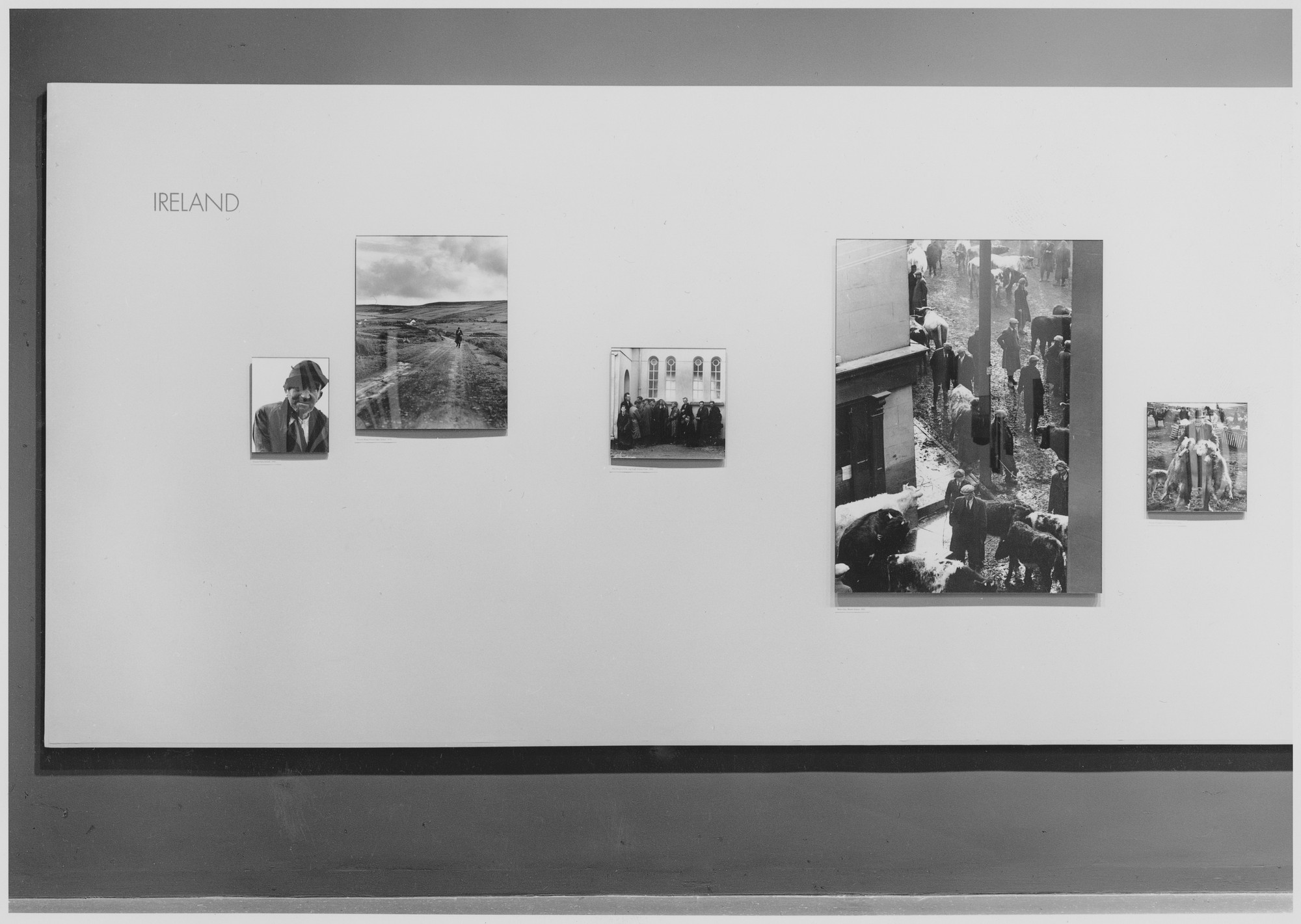 Installation view of the exhibition "Dorothea Lange." MoMA