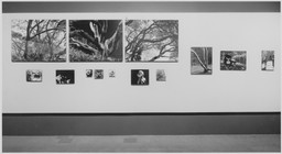 Installation photo, 23 of 37