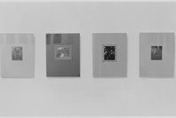 Marie Cosindas: Polaroid Color Photographs. Apr 13–Jul 4, 1966.