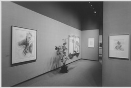 The Museum of Modern Art Archives, New York