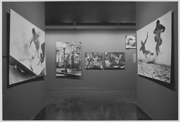 Installation photo, 4 of 7