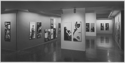 Installation photo, 4 of 5