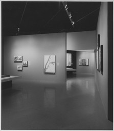 Installation photo, 3 of 20