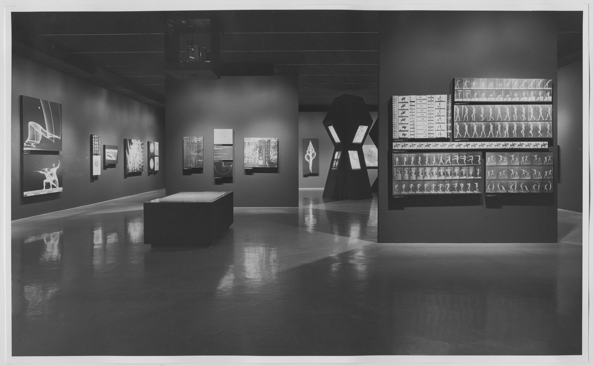 Installation view of the exhibition 