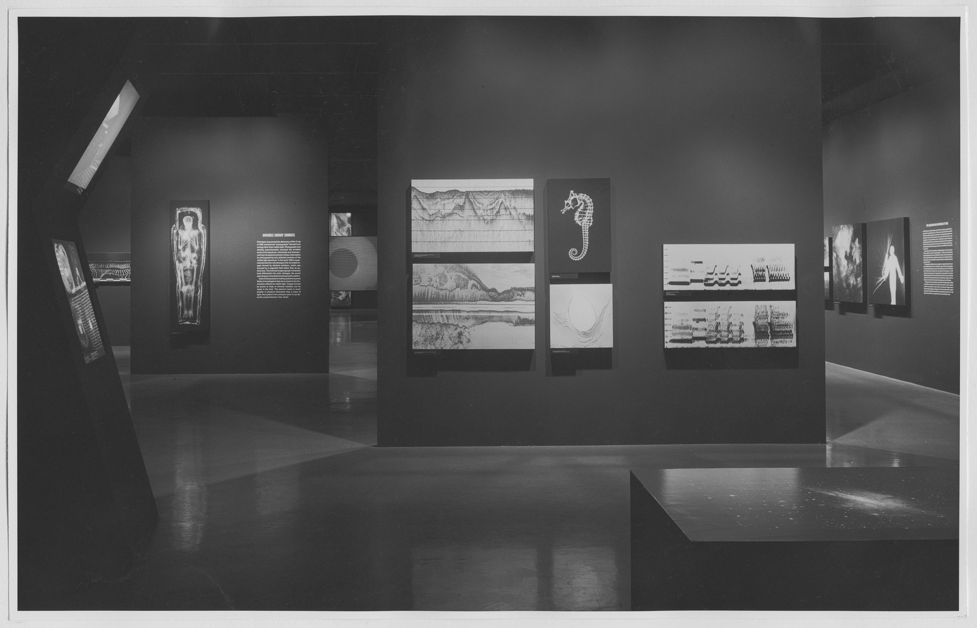 Installation view of the exhibition 