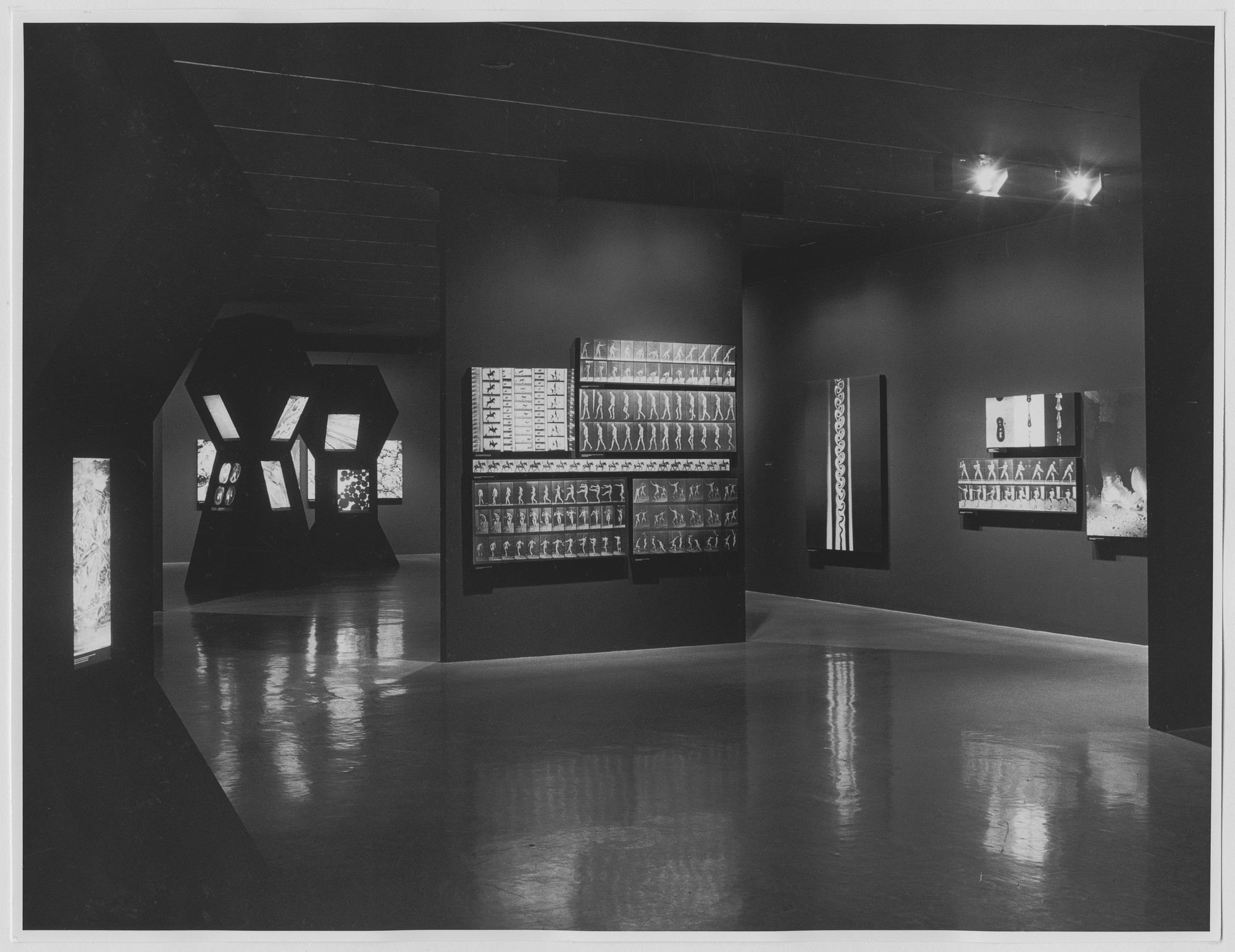 Installation view of the exhibition 