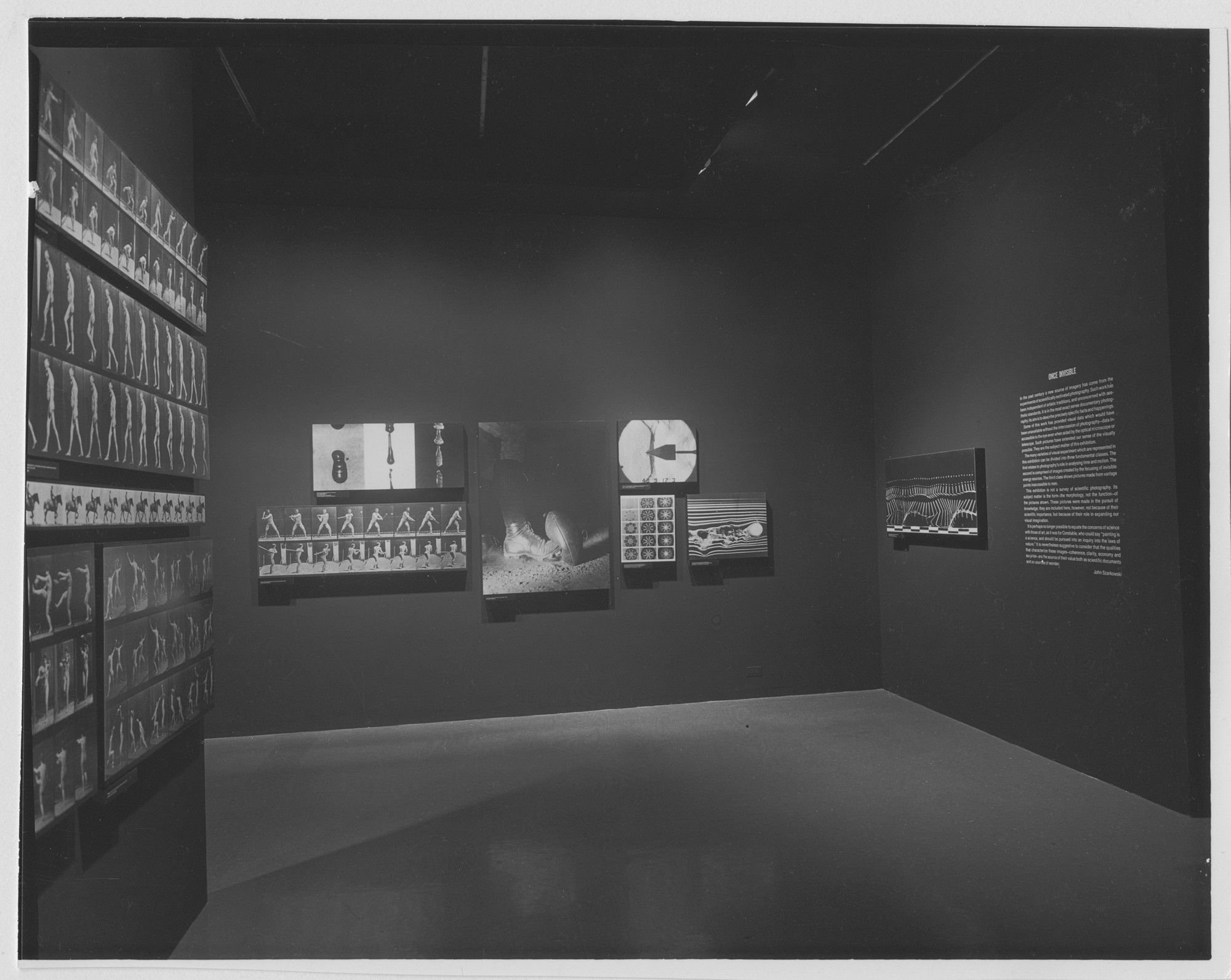 Installation view of the exhibition 