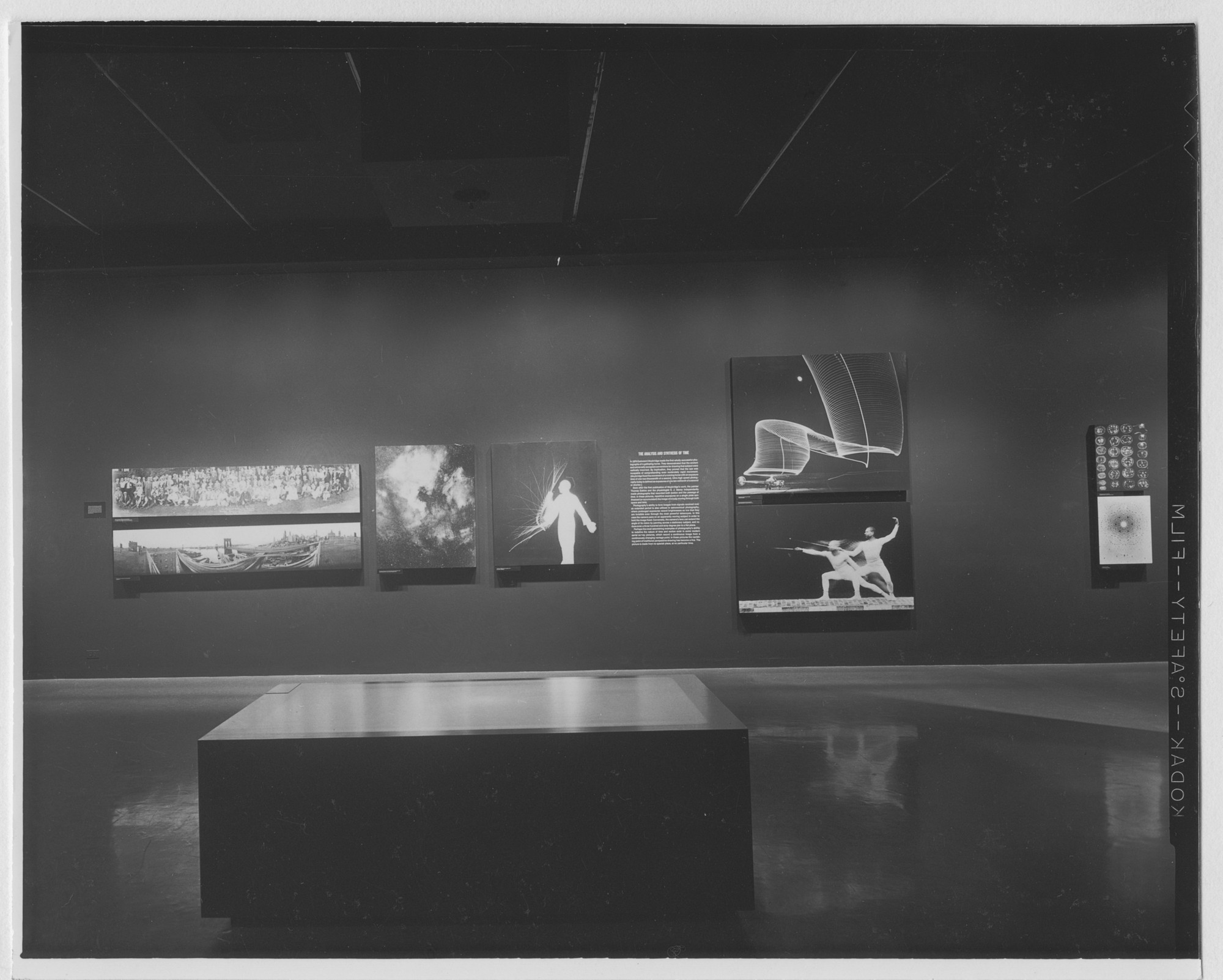 Installation view of the exhibition 