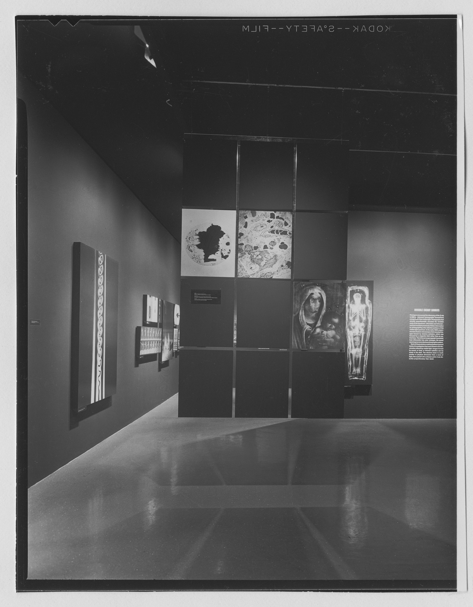 Installation view of the exhibition 