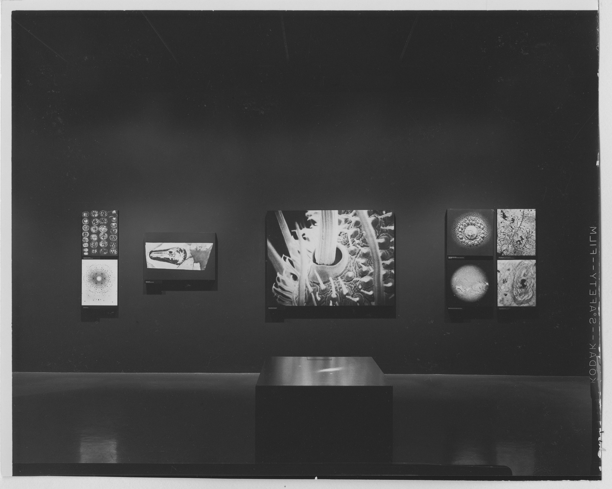 Installation view of the exhibition 