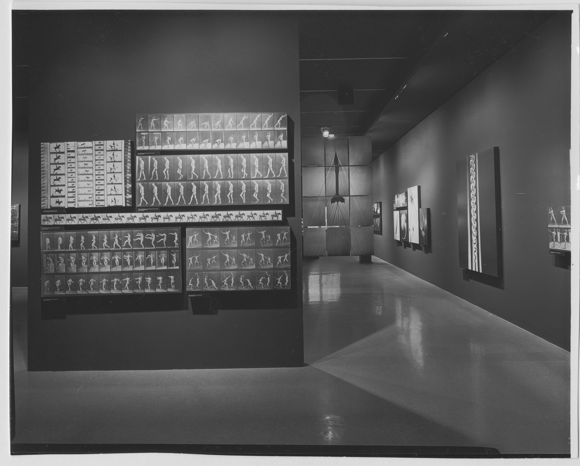 Installation view of the exhibition 