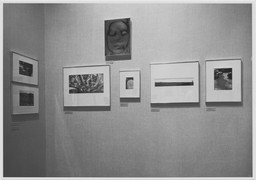 Installation photo, 15 of 16