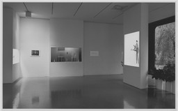 Installation photo, 17 of 46