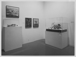 Installation photo, 16 of 50