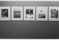 Brassaï. Oct 29, 1968–Jan 5, 1969. 3 other works identified