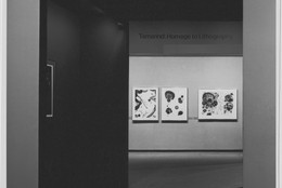 The Museum of Modern Art Archives, New York