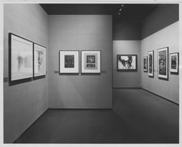 Installation photo, 6 of 8