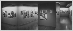 Installation photo, 1 of 6
