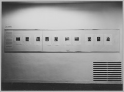 Installation photo, 8 of 19