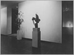 Installation photo, 9 of 22