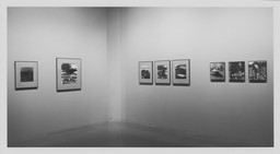 Installation photo, 8 of 18