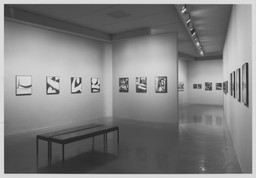 Installation photo, 13 of 18