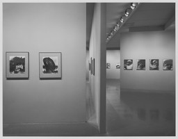 Installation photo, 18 of 18
