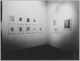 Installation photo, 15 of 22