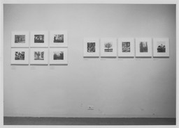 Installation photo, 12 of 15