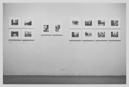 Installation photo, 13 of 15