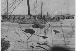 The Museum of Modern Art Archives, New York