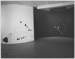 Installation photo, 8 of 25