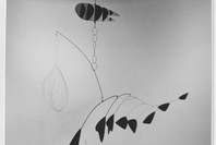 A Salute to Alexander Calder. Dec 18, 1969–Feb 15, 1970.