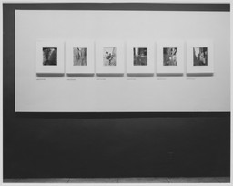 Installation photo, 4 of 15