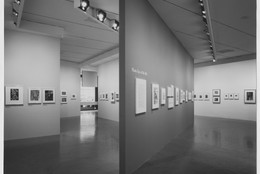 The Museum of Modern Art Archives, New York
