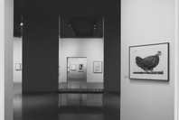 Picasso: Master Printmaker. Oct 15–Nov 29, 1970.