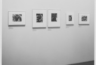 Photo Eye of the 20s. Jun 4–Sep 8, 1970.