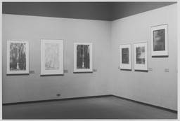 Installation photo, 6 of 9